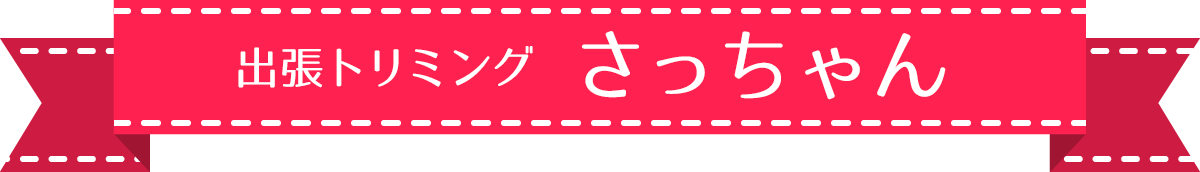 出張トリミングさっちゃん